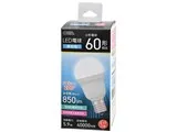 LDA6D-G-E17 IS53 [昼光色]