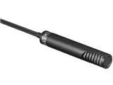 ECM-MS2