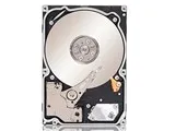 ST91000640NS [1TB 15mm]