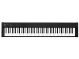 DIGITAL PIANO D1