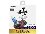 ギガ BD1127N [ハロゲン ホワイト 5600K H11]
