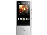 NW-ZX100 [128GB]