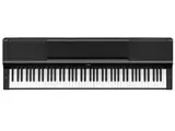 P-S500B [ブラック]