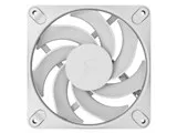 FD-F-DY3-1203 [White]