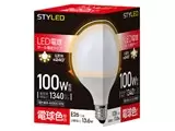 HDG100L1 [電球色]