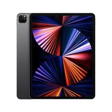 iPad Pro 12.9インチ 第5世代 Wi-Fiモデル 256GB 2021年春モデル MHNH3J/A スペースグレイ