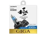 ギガ BD629N [ハロゲン ホワイト 5000K HB3/HB4]