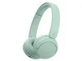 WH-CH530 (G) [ミント]