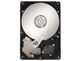 ST32000542AS (2TB SATA300 5900)