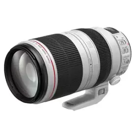 Canon EF100-400mm F4.5-5.6L IS II USM