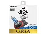 ギガ BD1129N [ハロゲン ホワイト 5000K H11]