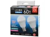 LDA6D-G-E17 IS53 2P [昼光色]