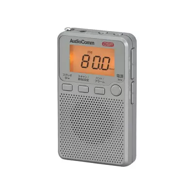 オーム電機 AudioComm RAD-P2229S-H [グレー]